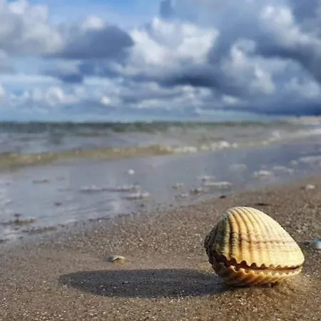 5 Star In Casa vacanze